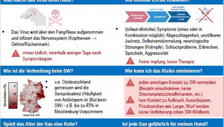 In Vergessenheit geraten - Aujeszky-Krankheit