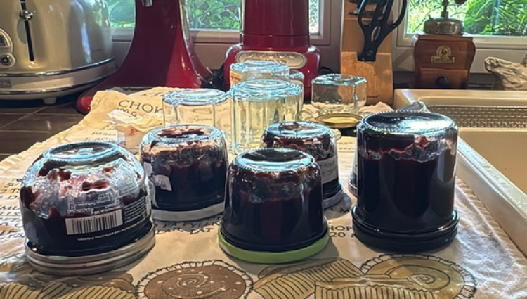 Chutney aus Schwarzen Johannisbeeren