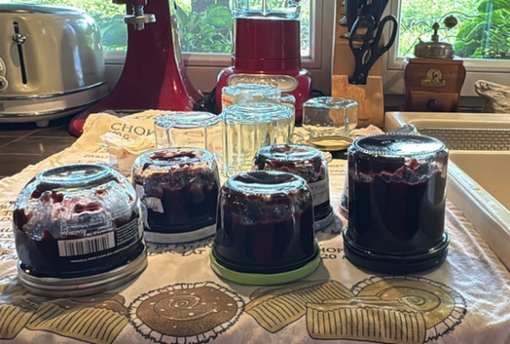 Chutney aus Schwarzen Johannisbeeren 