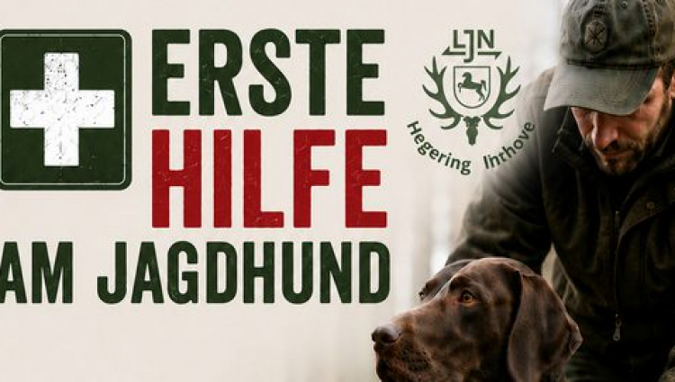 Im Notfall richtig handeln - 1. Hilfe Jagdhund