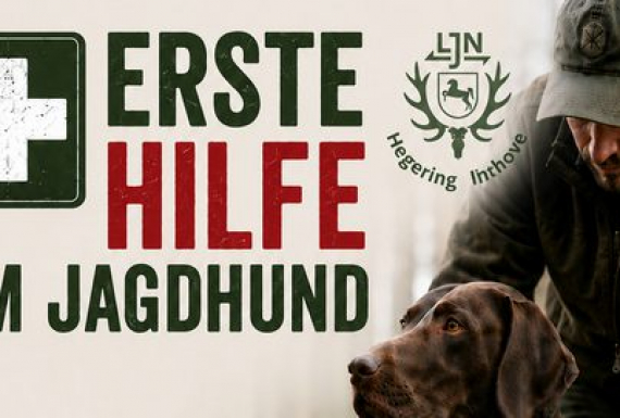 Im Notfall richtig handeln - 1. Hilfe Jagdhund
